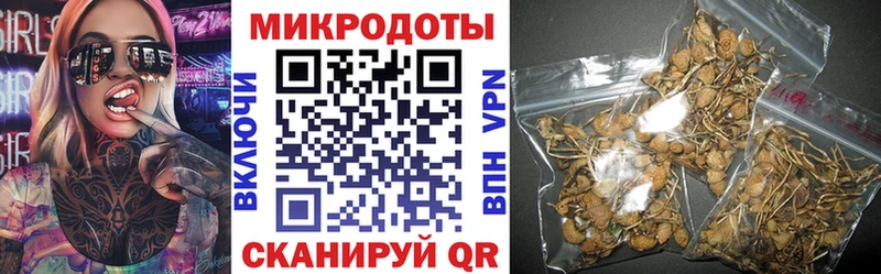 Псилоцибиновые грибы мицелий  Купить закладки  Сыктывкар 